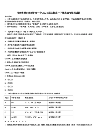 河南省新乡市新乡市一中2025届生物高一下期末统考模拟试题含解析