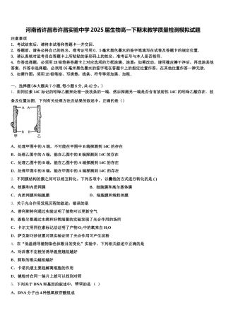 河南省许昌市许昌实验中学2025届生物高一下期末教学质量检测模拟试题含解析