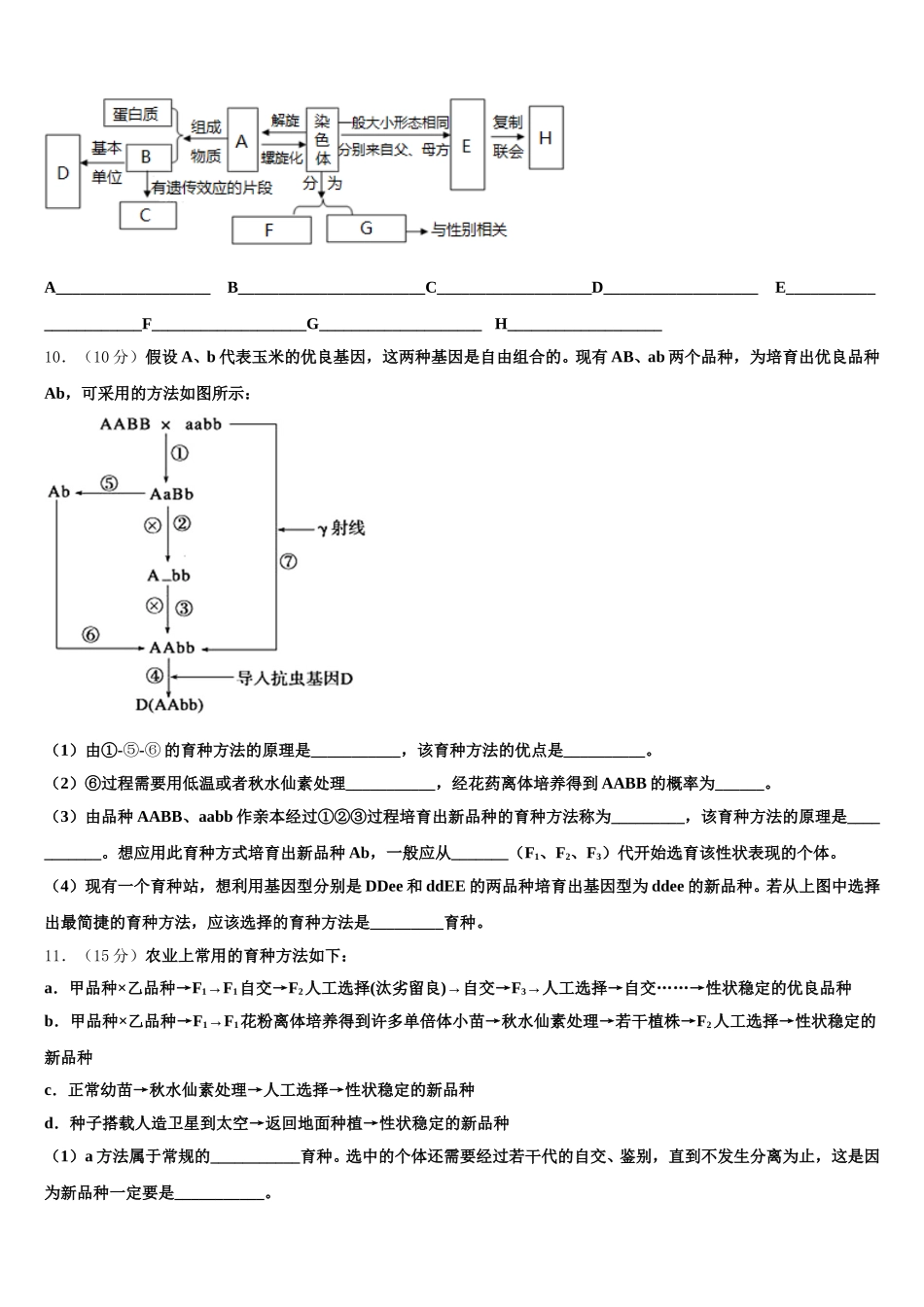 2025年河南省洛阳市偃师高中高一下生物期末联考试题含解析_第3页