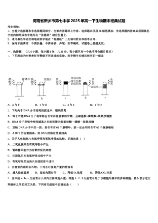 河南省新乡市第七中学2025年高一下生物期末经典试题含解析