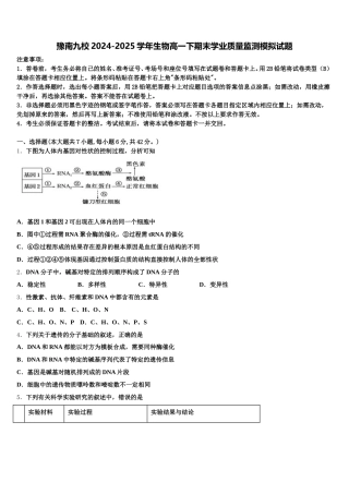 豫南九校2024-2025学年生物高一下期末学业质量监测模拟试题含解析