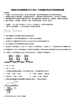 河南省九师.商周联盟2025年高一下生物期末学业水平测试模拟试题含解析