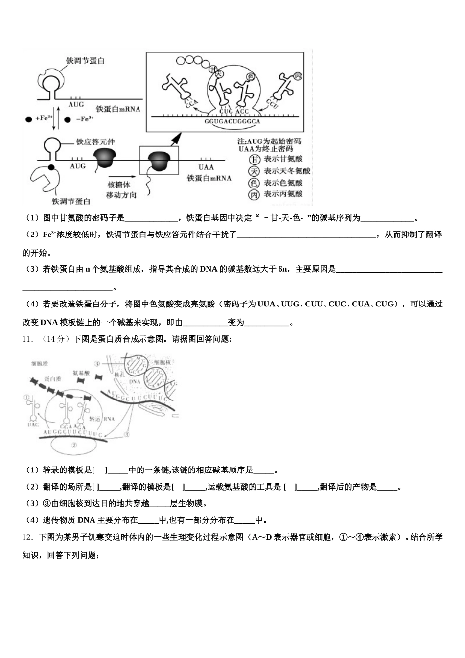 河南省罗山高中老校区2025年高一生物第二学期期末达标检测试题含解析_第3页