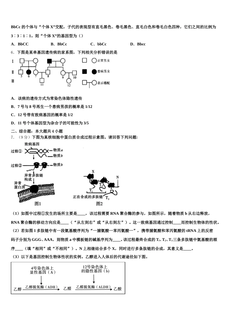 2024-2025学年河南省周口市扶沟县高级中学生物高一下期末质量检测试题含解析_第2页