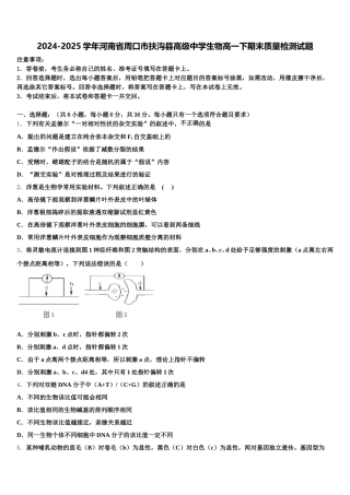 2024-2025学年河南省周口市扶沟县高级中学生物高一下期末质量检测试题含解析