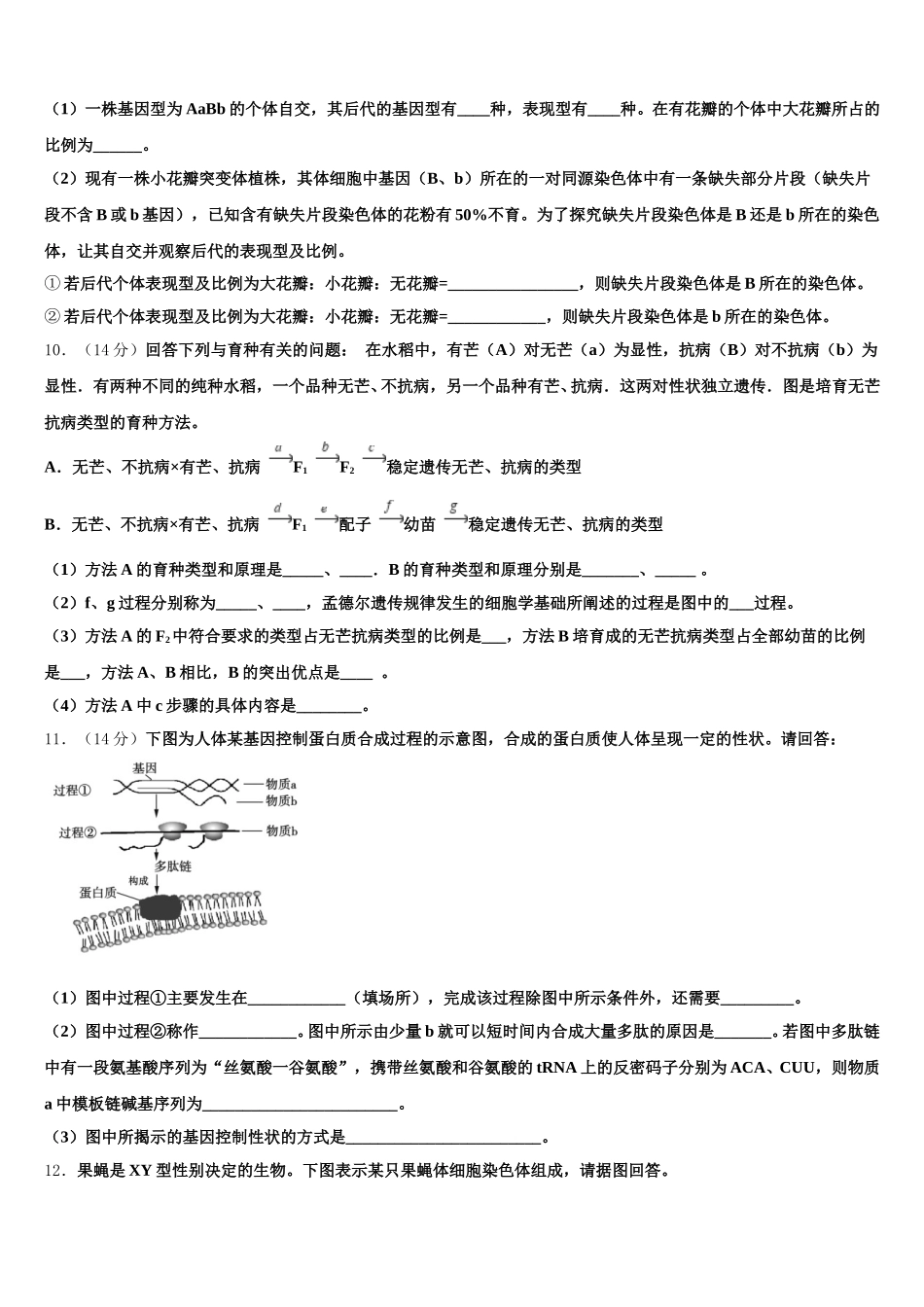 河南省漯河市漯河实验高中2025届生物高一下期末复习检测模拟试题含解析_第3页