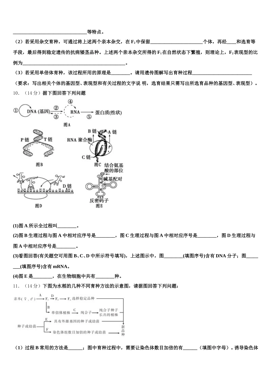 河南省信阳市予南高级中学2025年生物高一第二学期期末联考模拟试题含解析_第3页