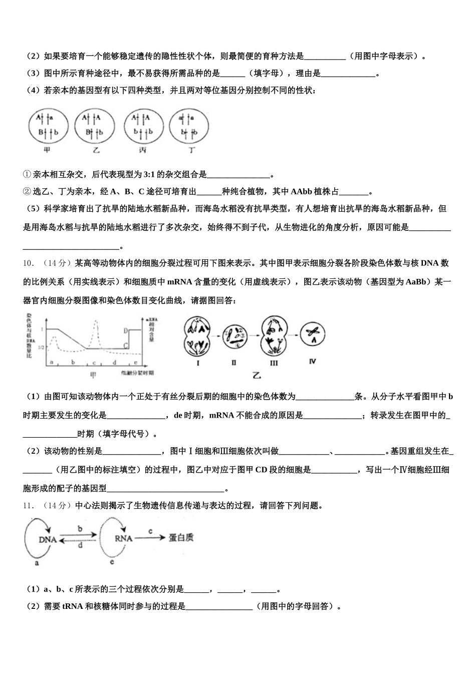 2025届河南省新乡市第一中学生物高一下期末联考模拟试题含解析_第3页