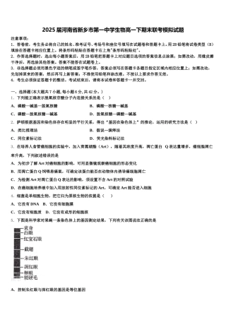 2025届河南省新乡市第一中学生物高一下期末联考模拟试题含解析