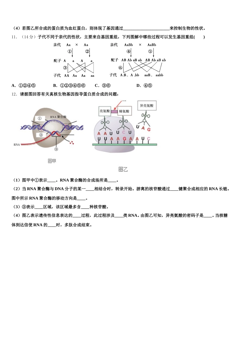河南省郑州市河南实验中学2024-2025学年高一生物第二学期期末复习检测试题含解析_第3页