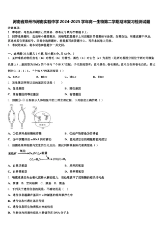 河南省郑州市河南实验中学2024-2025学年高一生物第二学期期末复习检测试题含解析