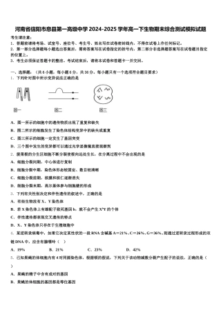 河南省信阳市息县第一高级中学2024-2025学年高一下生物期末综合测试模拟试题含解析