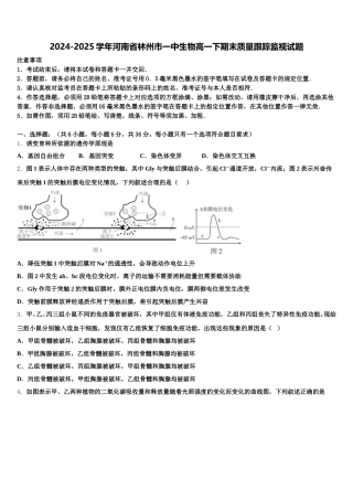 2024-2025学年河南省林州市一中生物高一下期末质量跟踪监视试题含解析