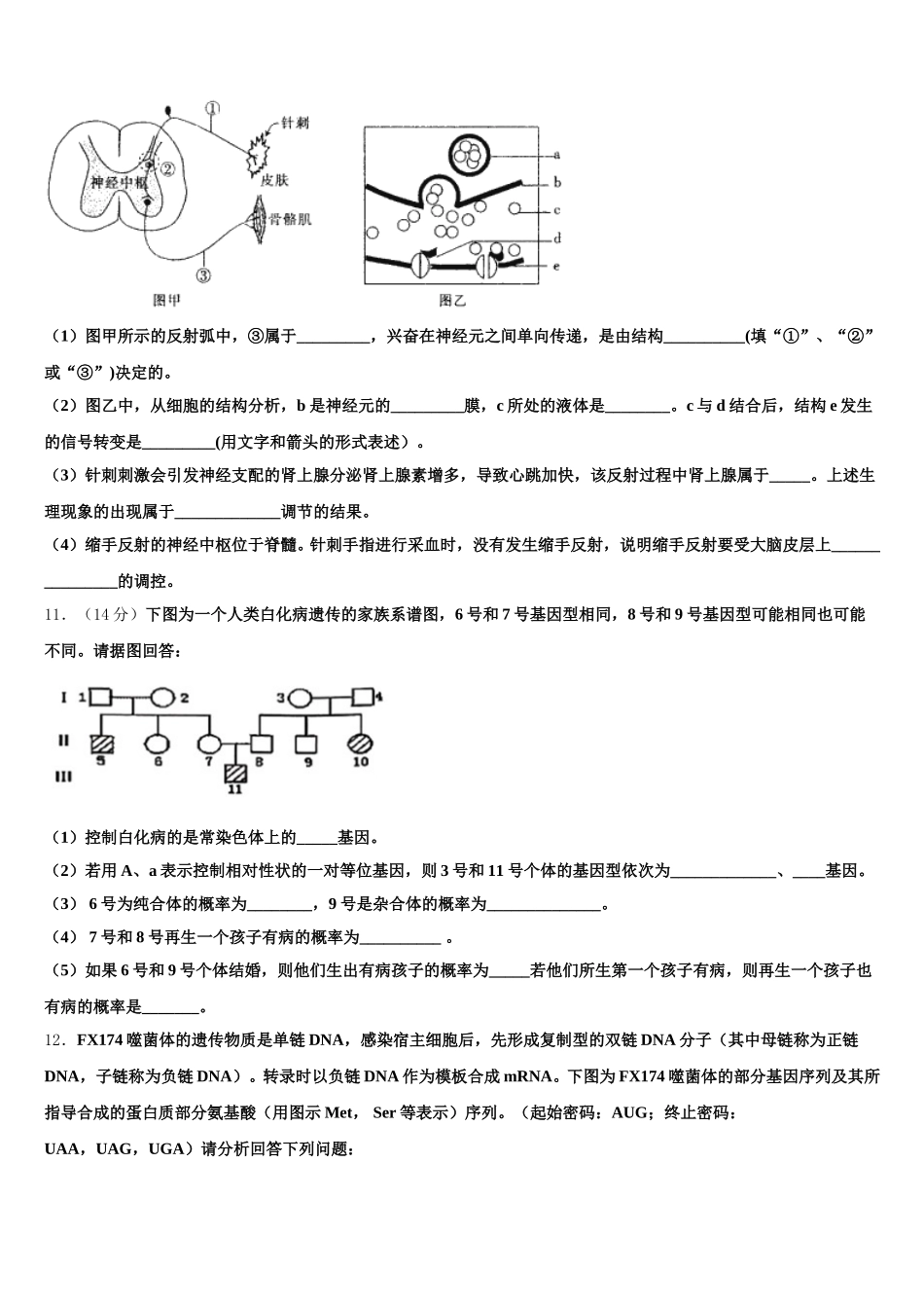 2025届河南省罗山县高级中学老校区生物高一下期末质量跟踪监视试题含解析_第3页