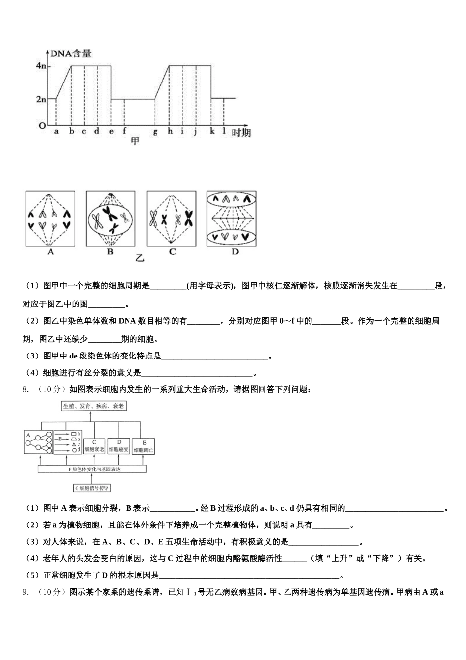2025年河南省开封市第十七中学生物高一第二学期期末达标检测模拟试题含解析_第2页