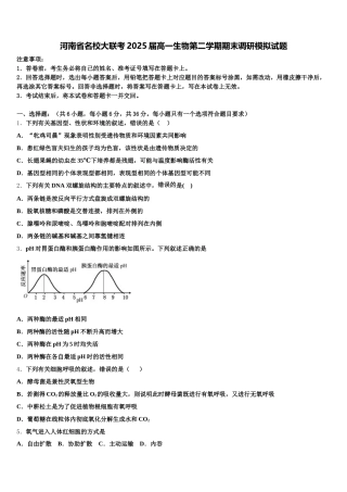 河南省名校大联考2025届高一生物第二学期期末调研模拟试题含解析