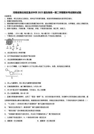 河南省豫北地区重点中学2025届生物高一第二学期期末考试模拟试题含解析