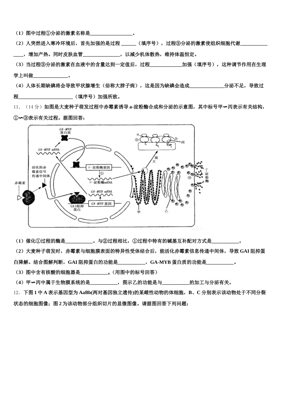 2024-2025学年河南省驻马店市第一高级中学高一下生物期末统考试题含解析_第3页