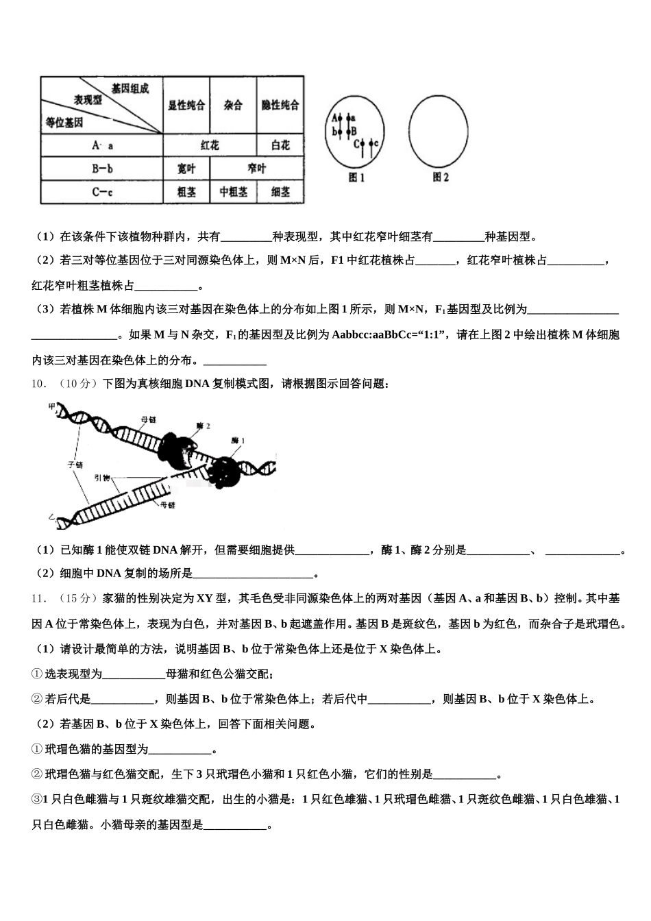 2025年河南省洛阳市栾川县实验高中高一生物第二学期期末质量跟踪监视试题含解析_第3页