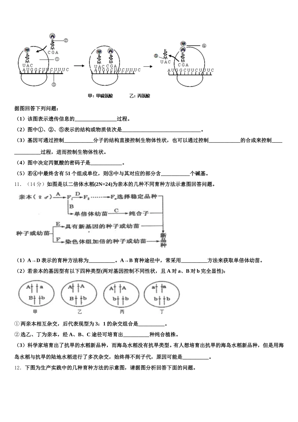 2025届河南商丘市第一高级中学高一生物第二学期期末联考试题含解析_第3页