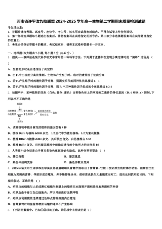 河南省许平汝九校联盟2024-2025学年高一生物第二学期期末质量检测试题含解析