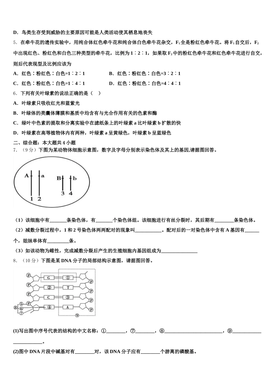 2025年河南省新蔡县第一高级中学生物高一下期末调研试题含解析_第2页
