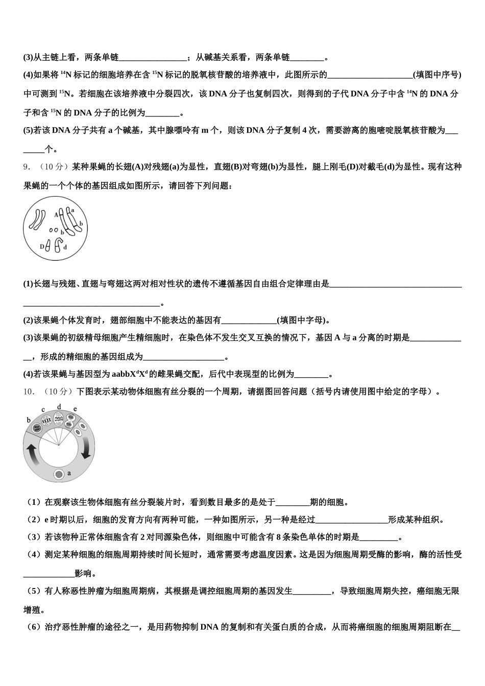 2025年河南省新蔡县第一高级中学生物高一下期末调研试题含解析_第3页
