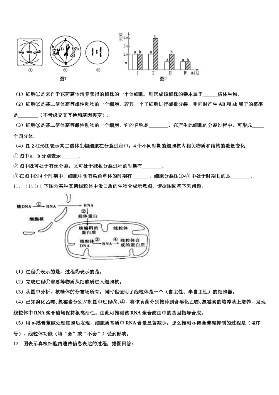 2025年河南省正阳县第一高级中学生物高一下期末监测试题含解析_第3页