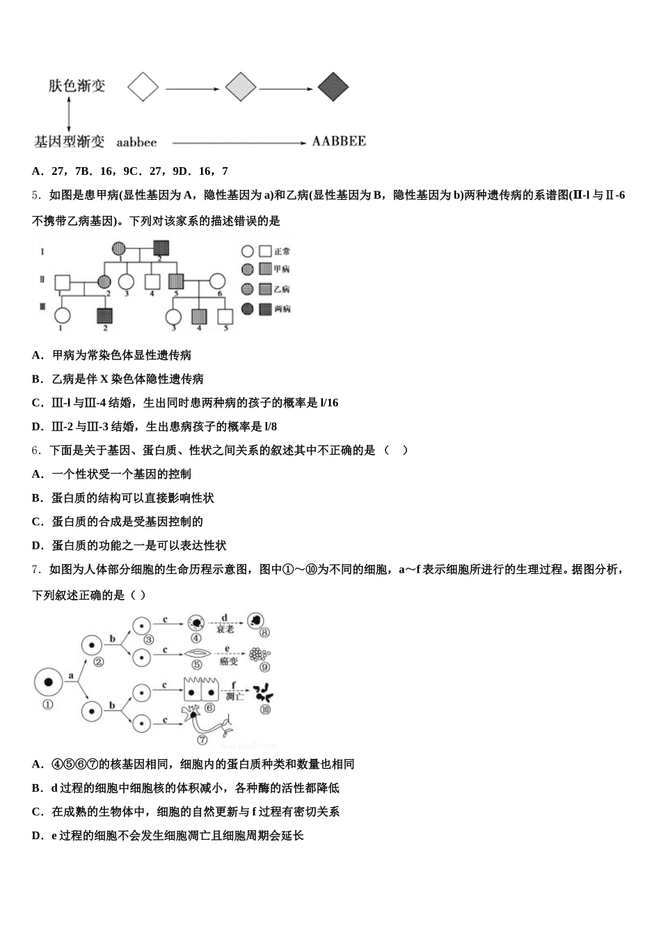 河南省郑州市河南实验中学2024-2025学年高一下生物期末质量检测试题含解析_第2页