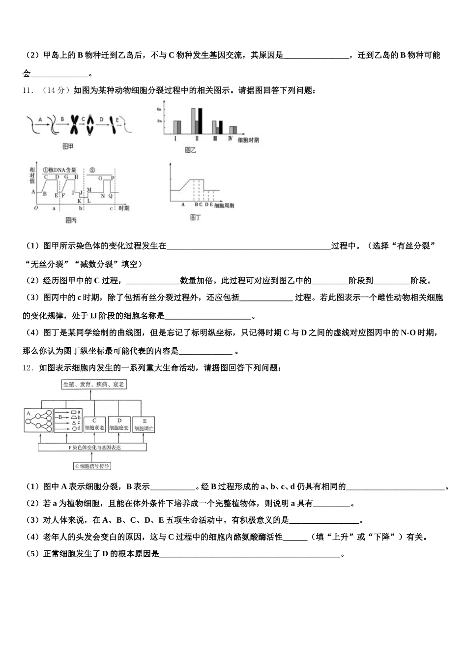 2025年河南省信阳市第一高级中学生物高一下期末经典试题含解析_第3页