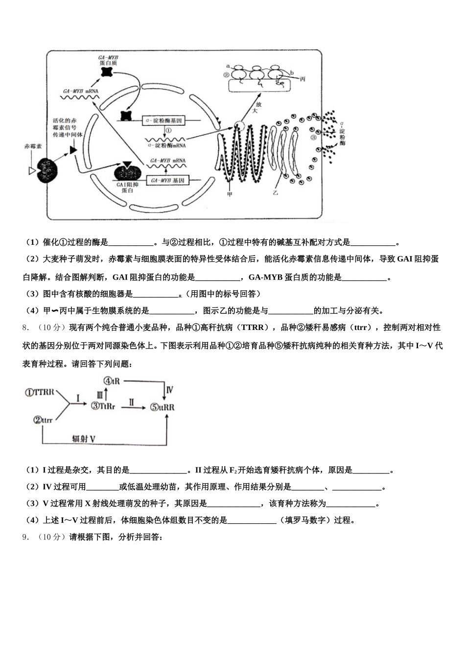 河南省花洲实验高级中学2025年高一下生物期末监测模拟试题含解析_第3页