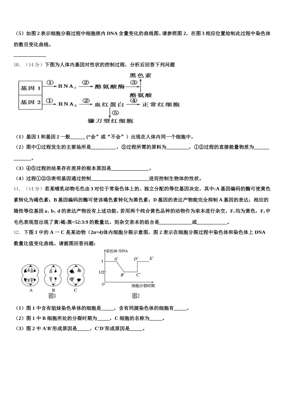 河南上蔡第一高级中学2024-2025学年生物高一下期末质量检测试题含解析_第3页
