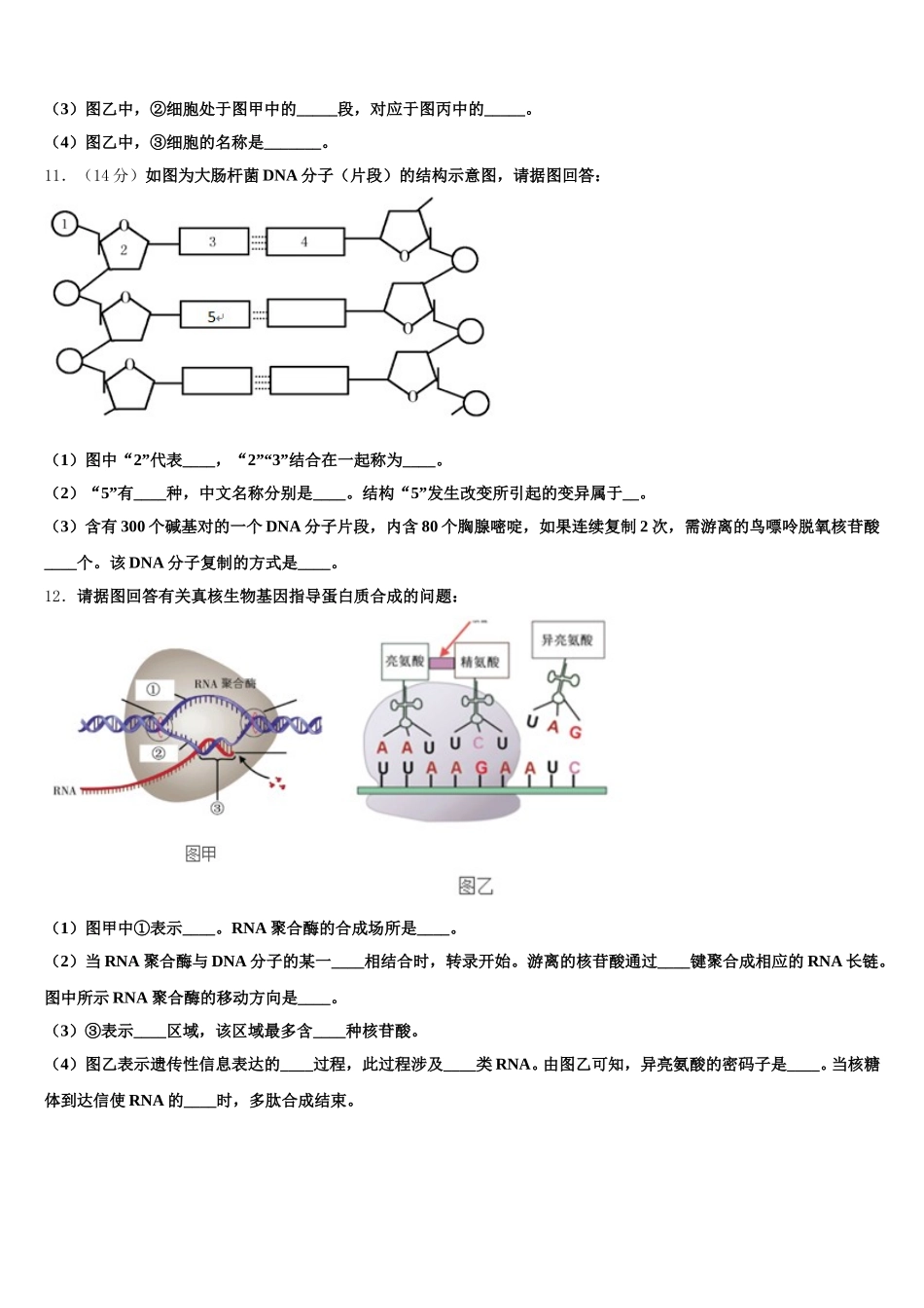 2025届河南省范县第一中学高一生物第二学期期末考试模拟试题含解析_第3页