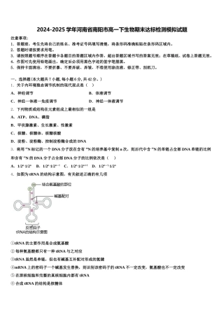 2024-2025学年河南省南阳市高一下生物期末达标检测模拟试题含解析