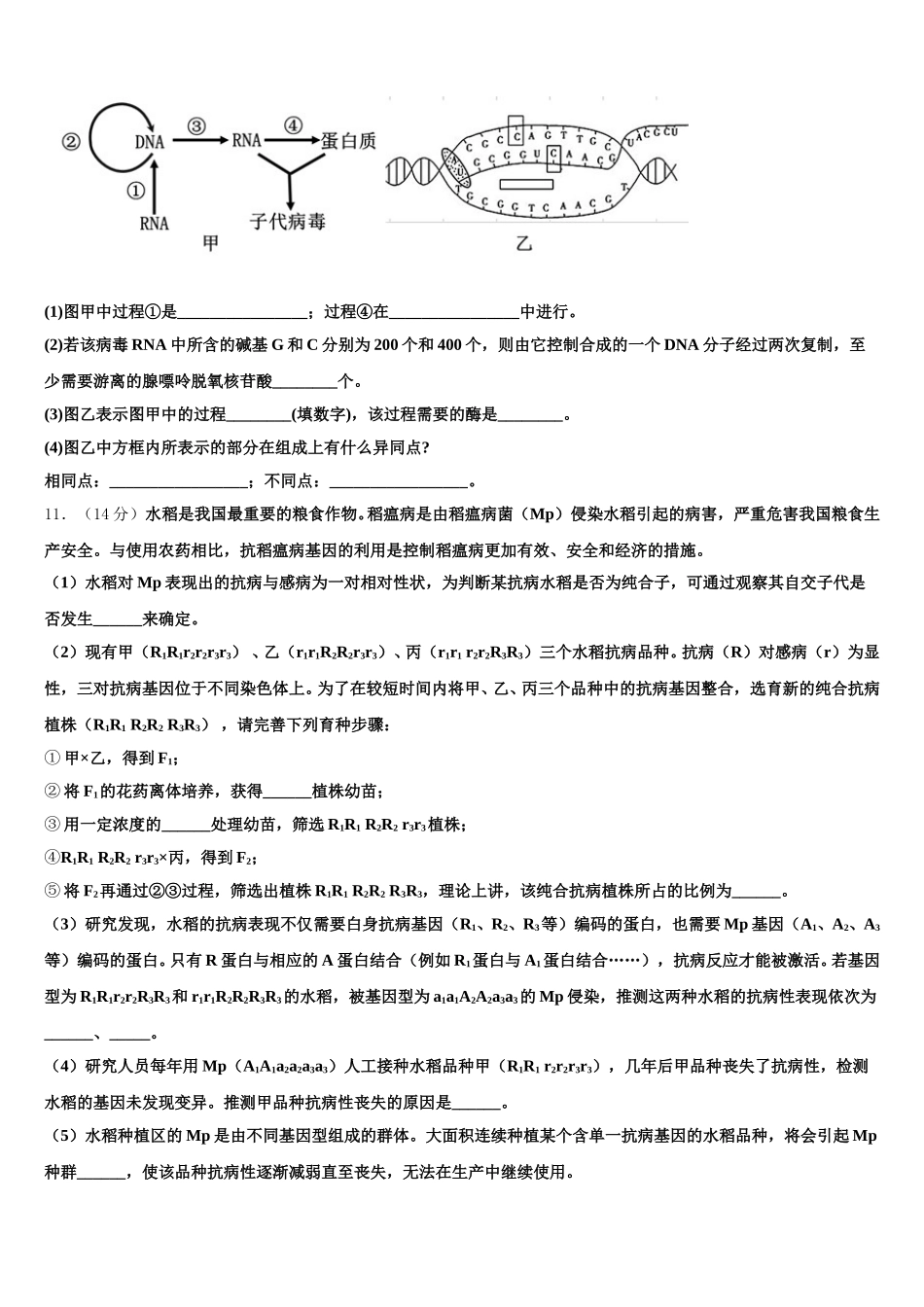 河南省汝州市实验中学2024-2025学年生物高一第二学期期末考试试题含解析_第3页