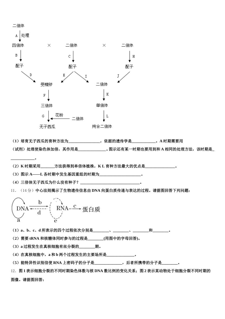 2025届河南洛阳名校高一下生物期末教学质量检测试题含解析_第3页