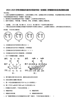 2024-2025学年河南省许昌市示范初中高一生物第二学期期末综合测试模拟试题含解析