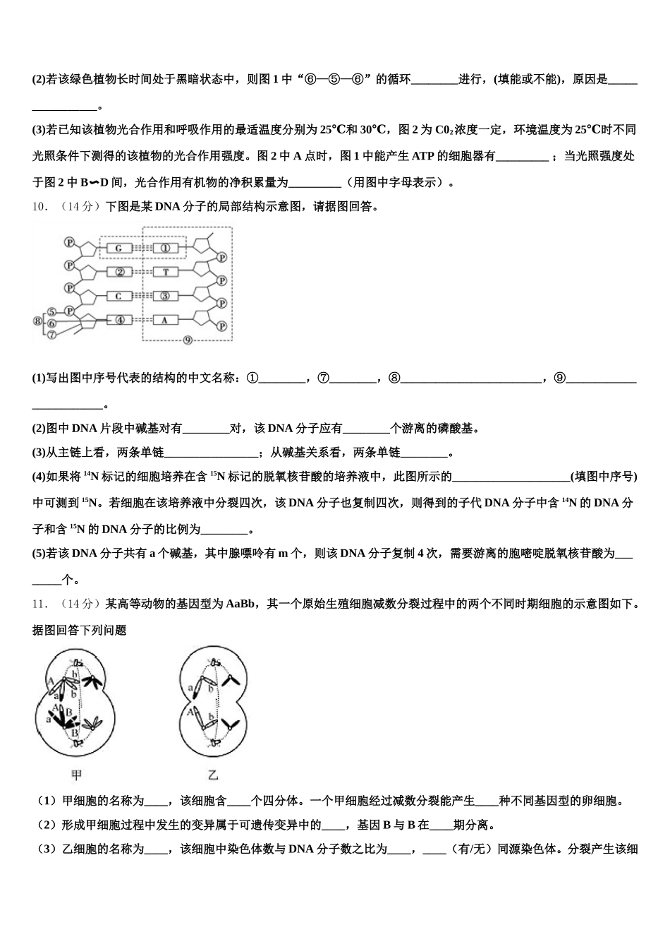 2025届河南省第二实验中学生物高一下期末质量检测模拟试题含解析_第3页
