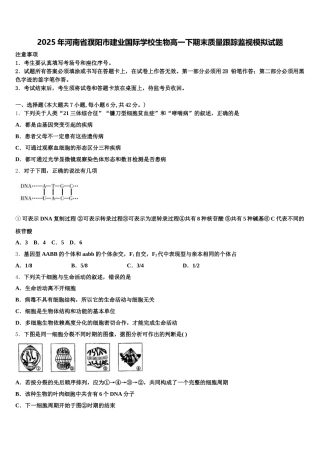 2025年河南省濮阳市建业国际学校生物高一下期末质量跟踪监视模拟试题含解析