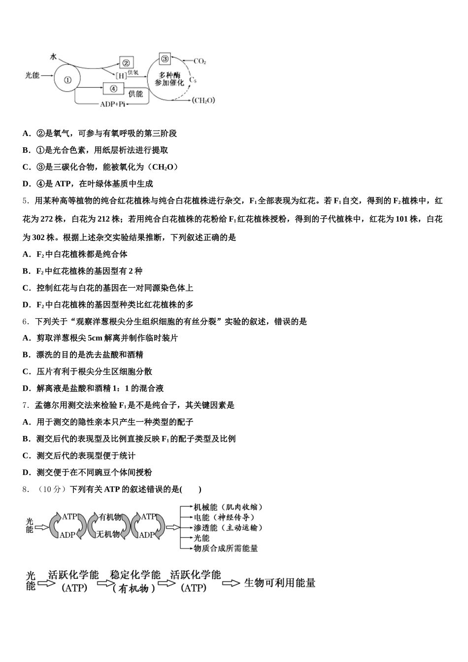 2025届河南省襄城高中高一生物第二学期期末质量跟踪监视试题含解析_第2页
