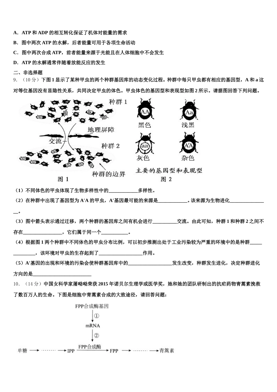 2025届河南省襄城高中高一生物第二学期期末质量跟踪监视试题含解析_第3页