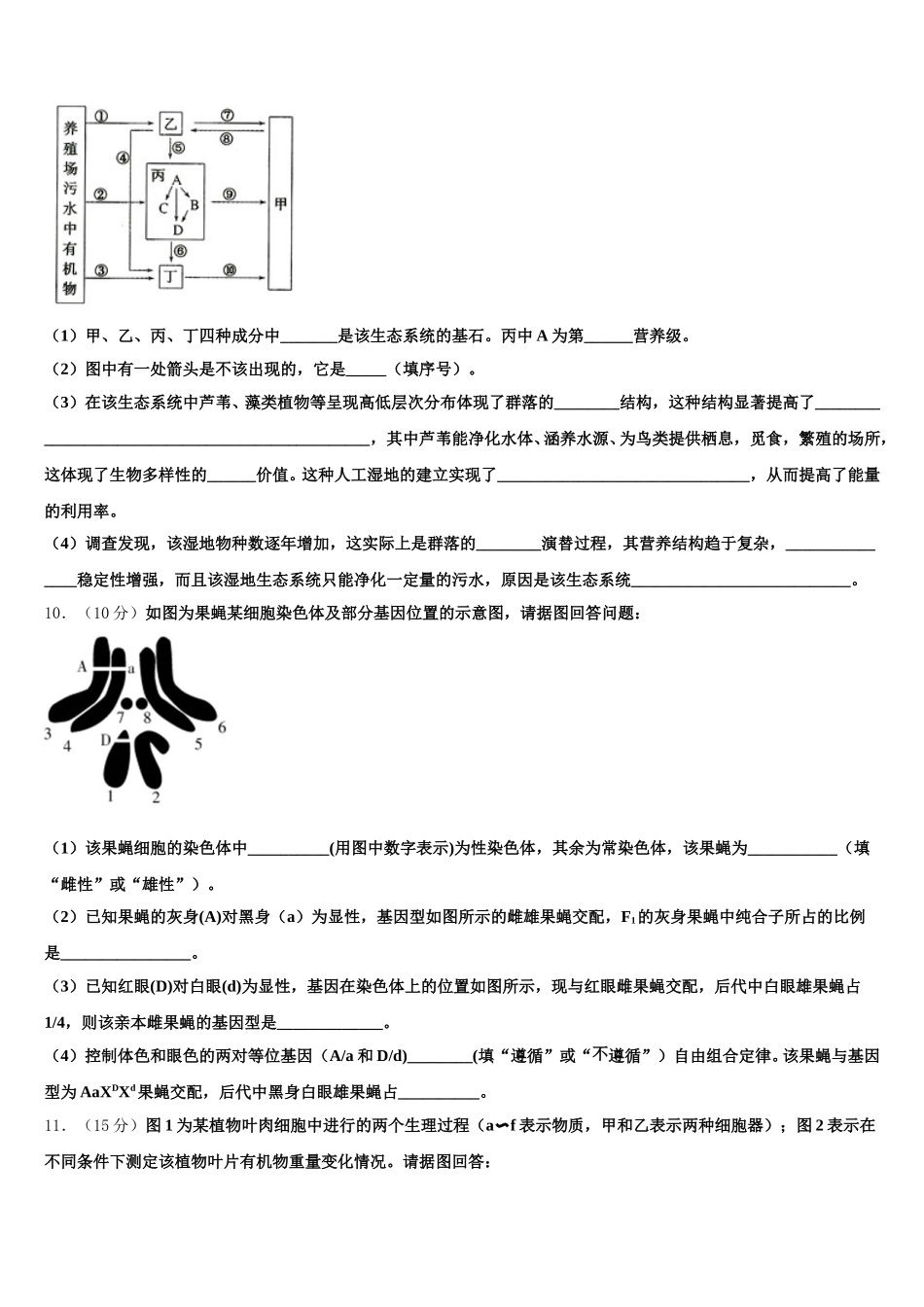 2024-2025学年河南省洛阳市第一高级中学高一下生物期末复习检测试题含解析_第3页