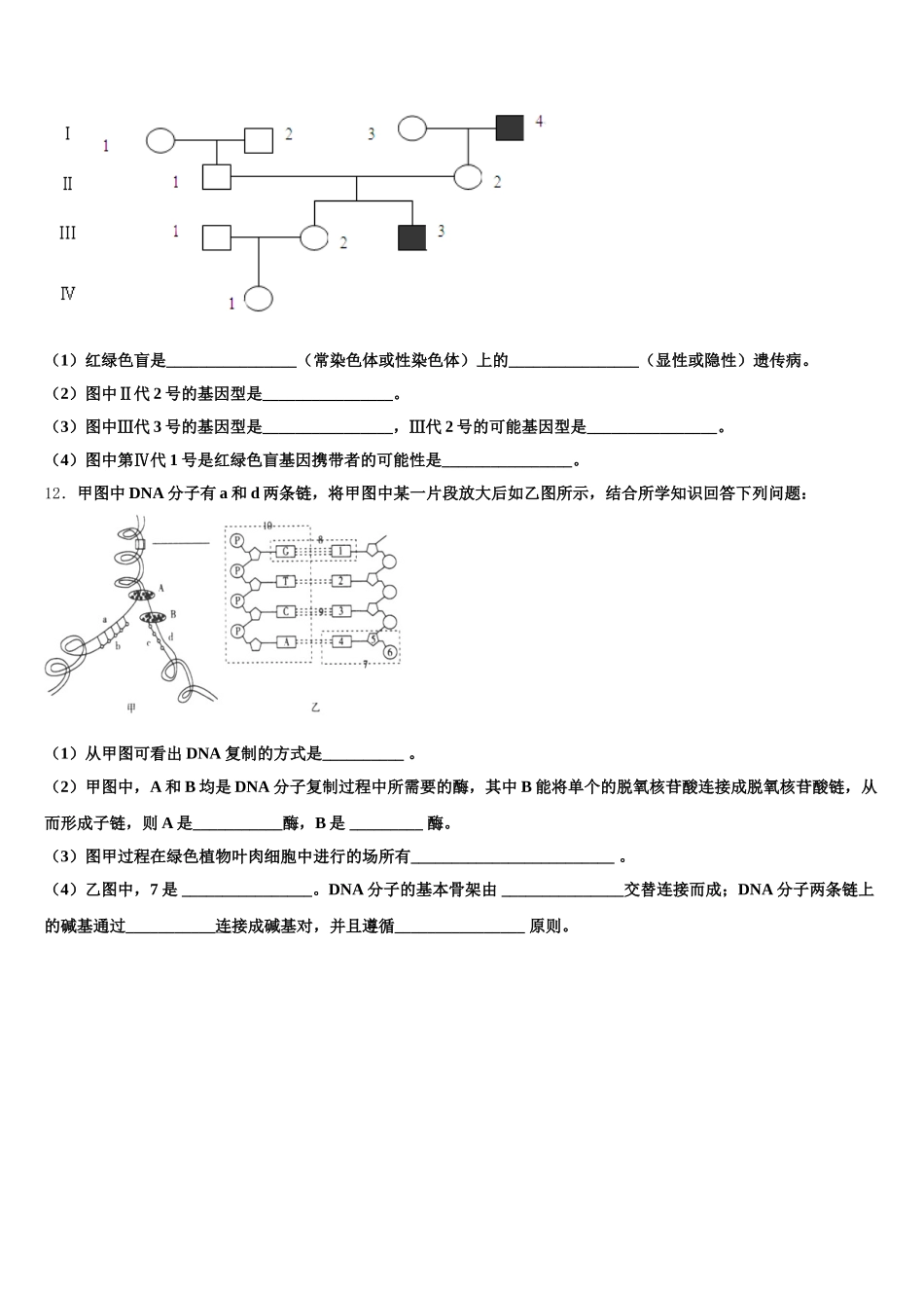 2024-2025学年河南周口市生物高一下期末综合测试试题含解析_第3页