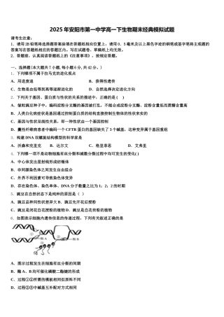 2025年安阳市第一中学高一下生物期末经典模拟试题含解析