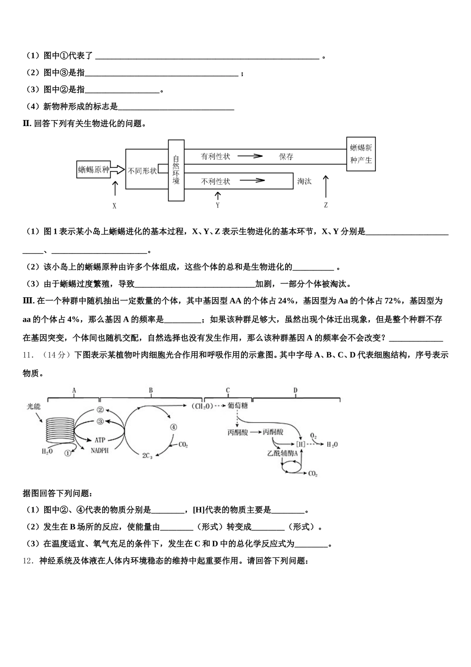 2025年河南省商开大联考高一下生物期末综合测试模拟试题含解析_第3页