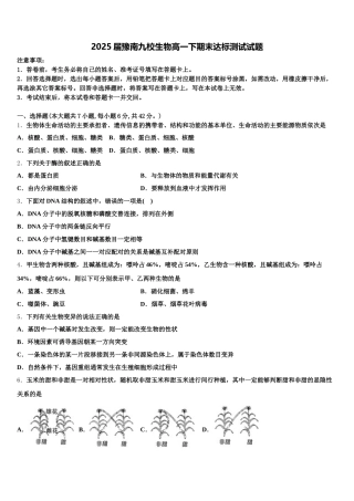 2025届豫南九校生物高一下期末达标测试试题含解析