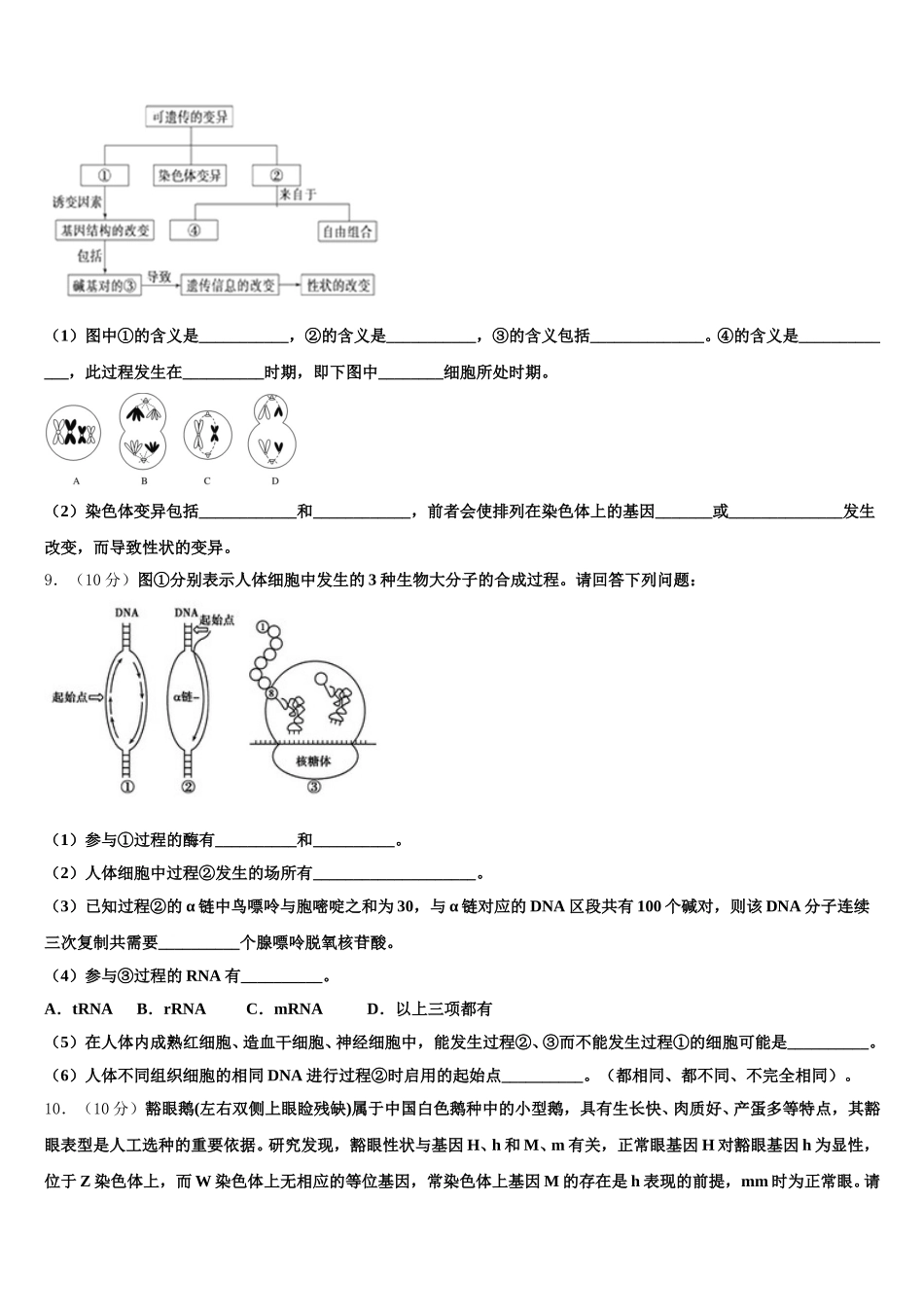 河南省新野县第一高级中学2025届高一生物第二学期期末质量跟踪监视模拟试题含解析_第3页