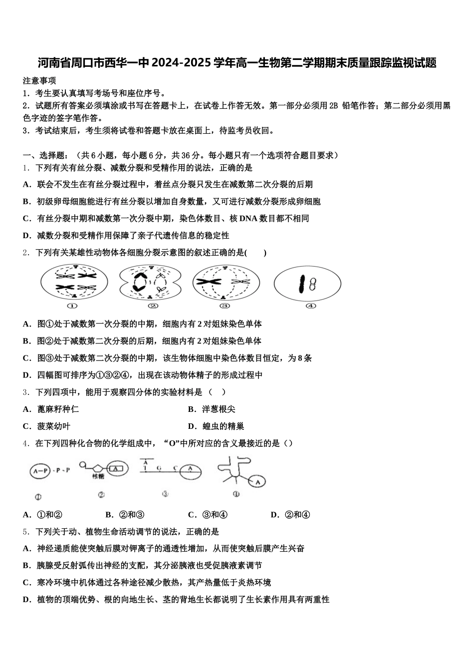 河南省周口市西华一中2024-2025学年高一生物第二学期期末质量跟踪监视试题含解析_第1页