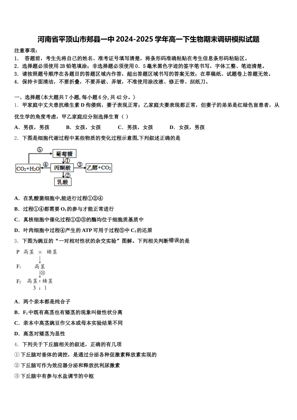 河南省平顶山市郏县一中2024-2025学年高一下生物期末调研模拟试题含解析_第1页