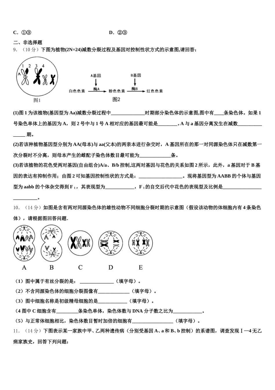 2025届河南省新乡市新誉佳高级中学高一下生物期末教学质量检测试题含解析_第3页